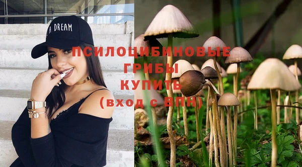PSILOCYBIN Пролетарск