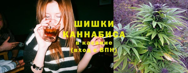 PSILOCYBIN Пролетарск