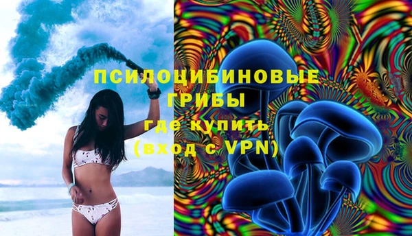 PSILOCYBIN Пролетарск