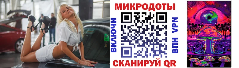 Галлюциногенные грибы Psilocybine cubensis  Армавир 